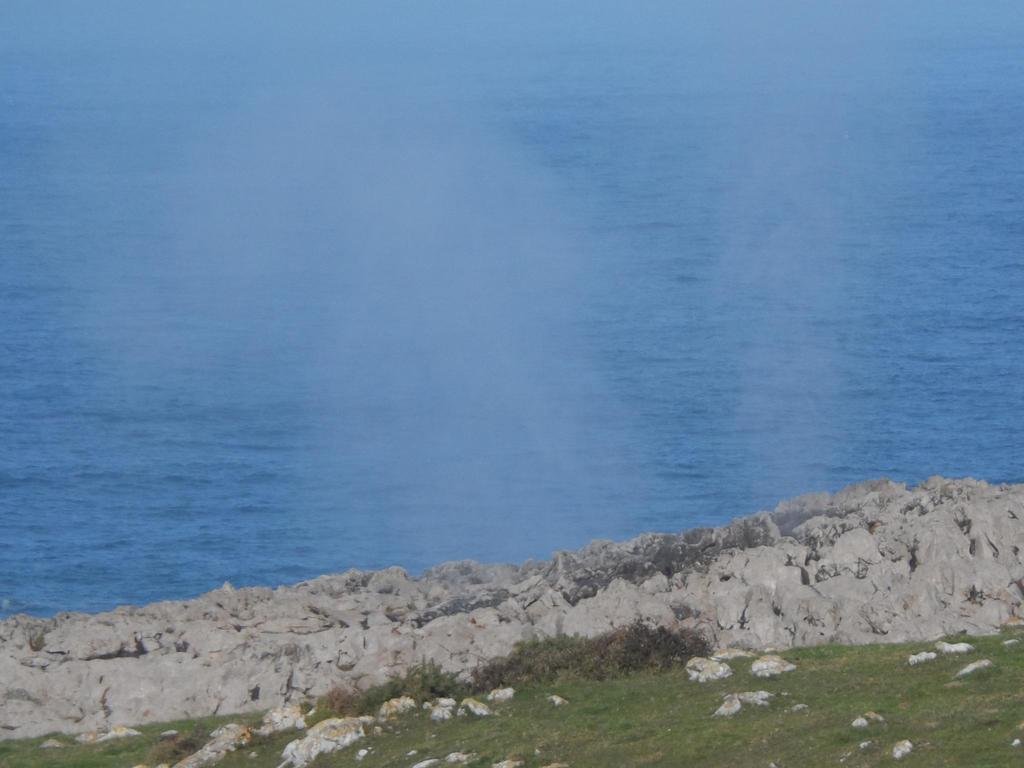 La Quintaesencia Hotell La Pereda de Llanes Eksteriør bilde